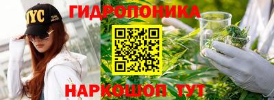 кристаллы Кингисепп