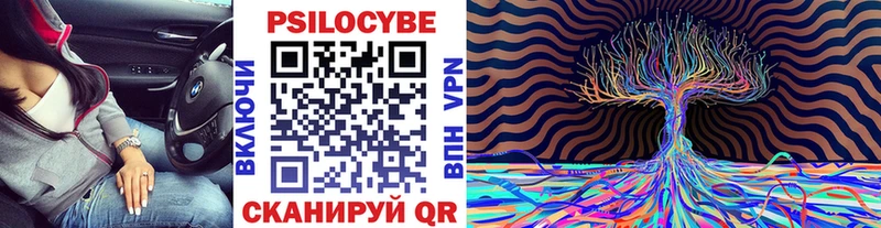 mega маркетплейс  Павловский Посад  Галлюциногенные грибы MAGIC MUSHROOMS 